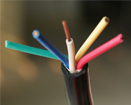Control cable
