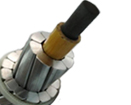 Aluminum conductor Carbon Fiber Composite Core Reinforced conductor
