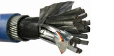 Individual Screen Armoured Instrument Cable