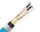 Armoured individual Screen instrument Cable