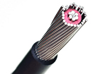 Aluminum Alloy or aluminium concentric cable