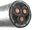 1-35KV Cu/Al XLPE SWA/STA Armored Power Cable