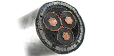 1-35KV Cu/Al XLPE SWA/STA Armored Power Cable